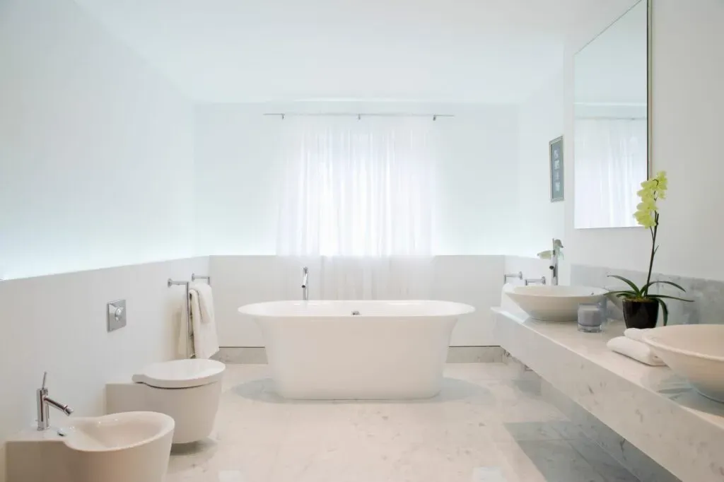 Modern bathroom with freestanding tub and natural light